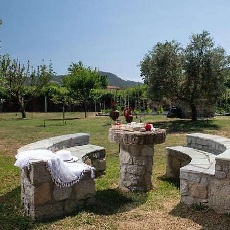Villa Tsitreli Szikiá Kültér fotó