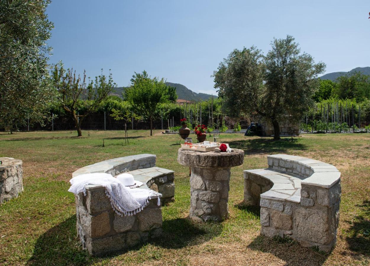 Villa Tsitreli Szikiá Kültér fotó