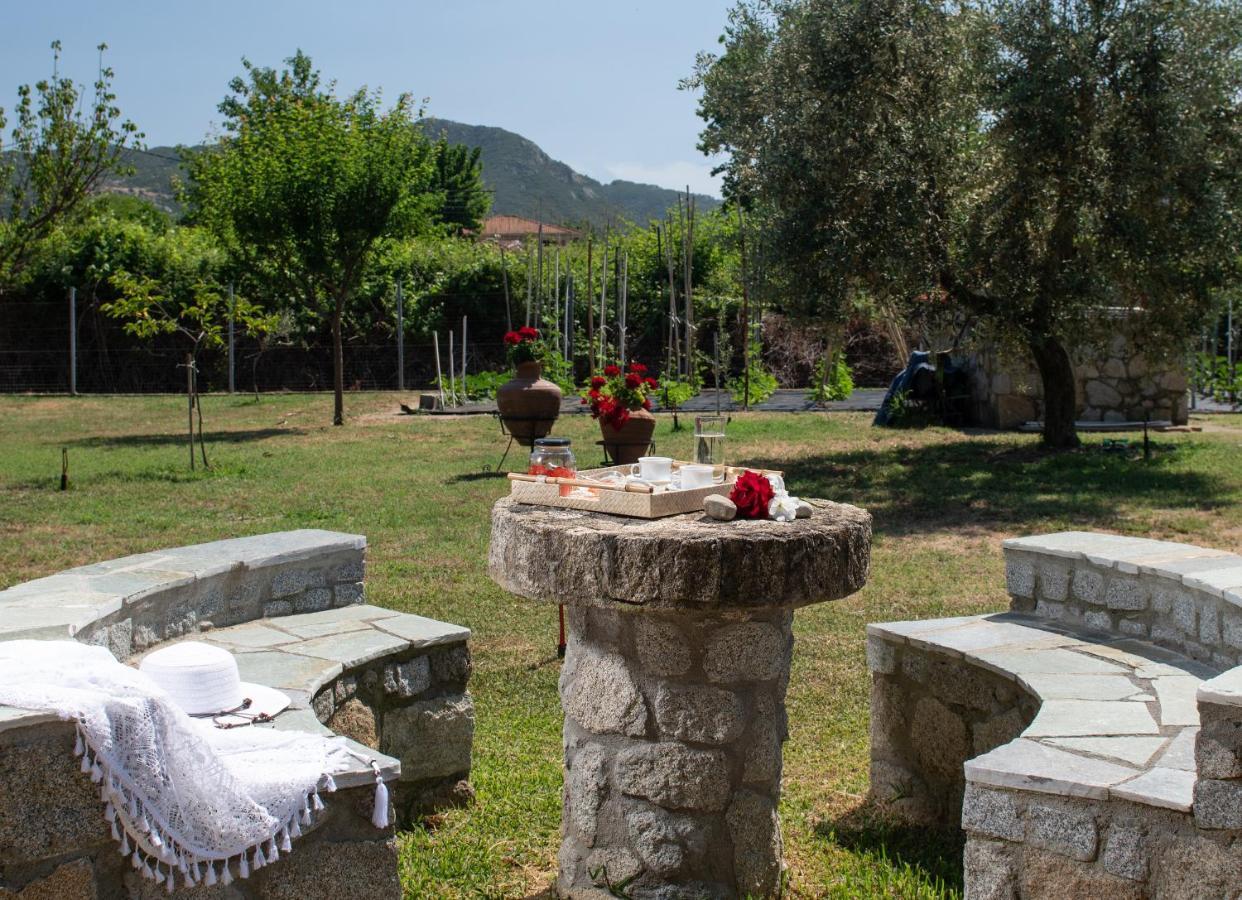 Villa Tsitreli Szikiá Kültér fotó