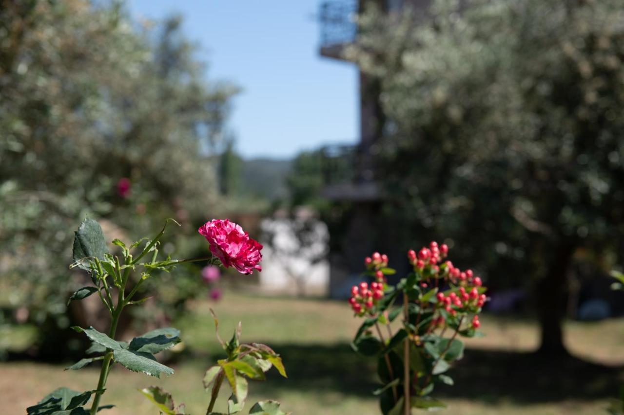 Villa Tsitreli Szikiá Kültér fotó