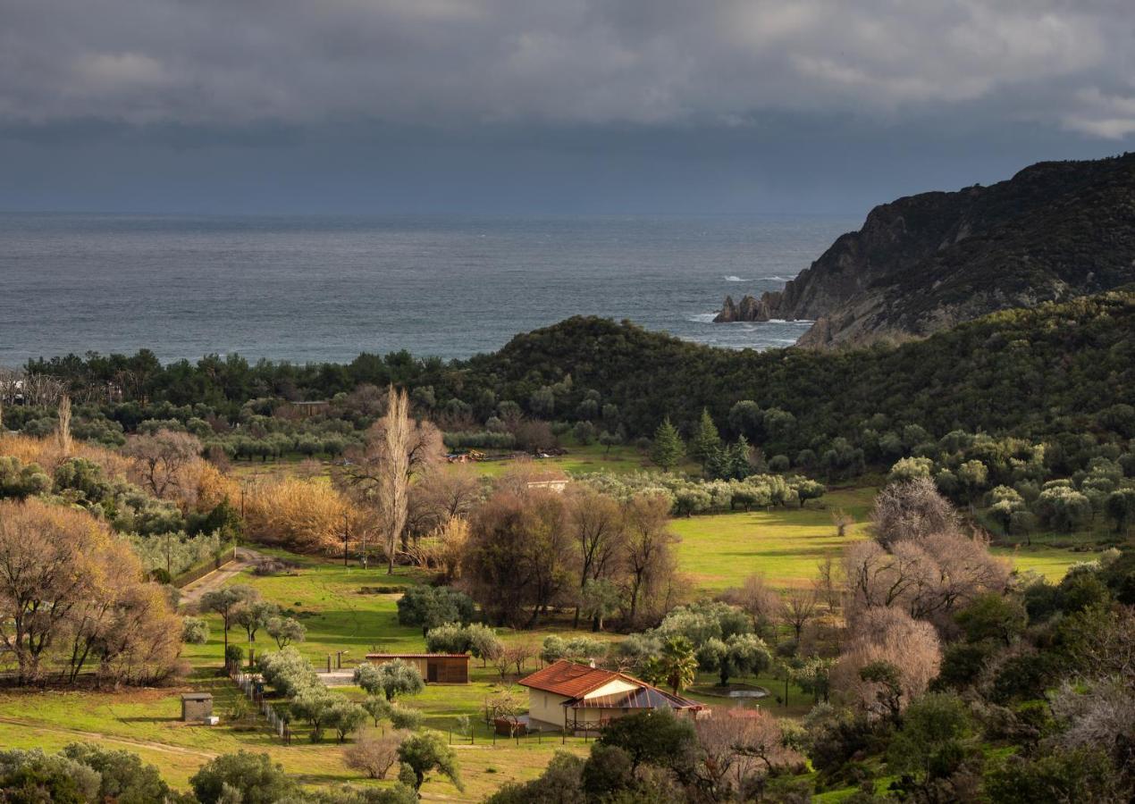 Villa Tsitreli Szikiá Kültér fotó