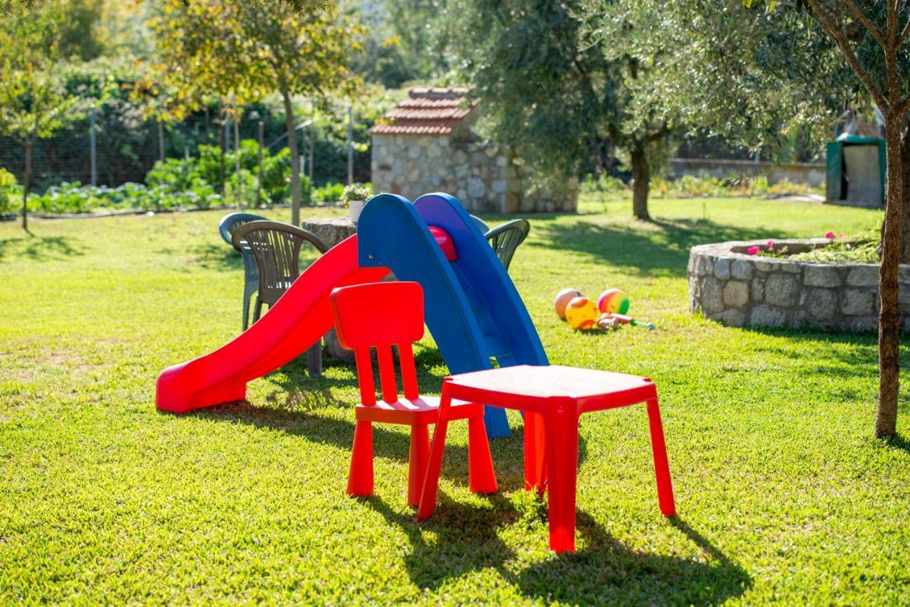 Villa Tsitreli Szikiá Kültér fotó